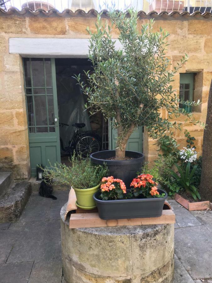 Maison De Maitre Elegia Castillon-la-Bataille Esterno foto
